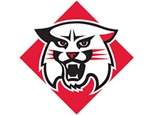 Davidson University